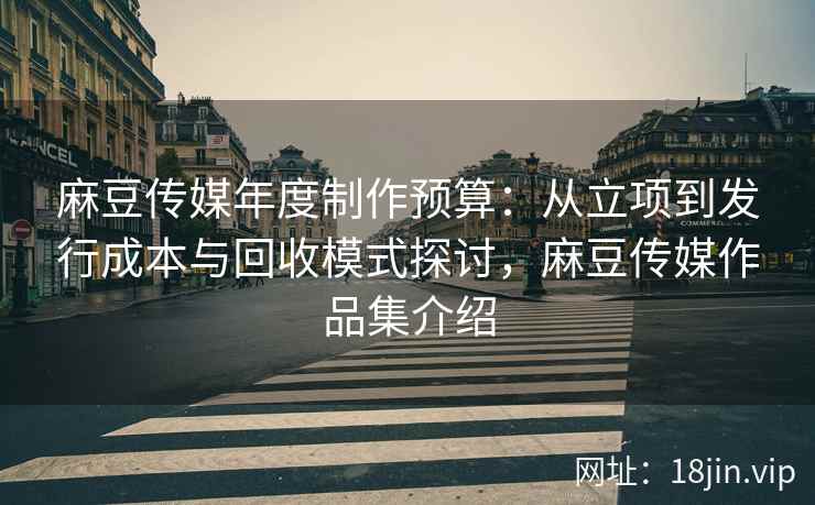 麻豆传媒年度制作预算：从立项到发行成本与回收模式探讨，麻豆传媒作品集介绍