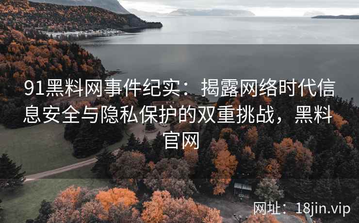 91黑料网事件纪实：揭露网络时代信息安全与隐私保护的双重挑战，黑料 官网