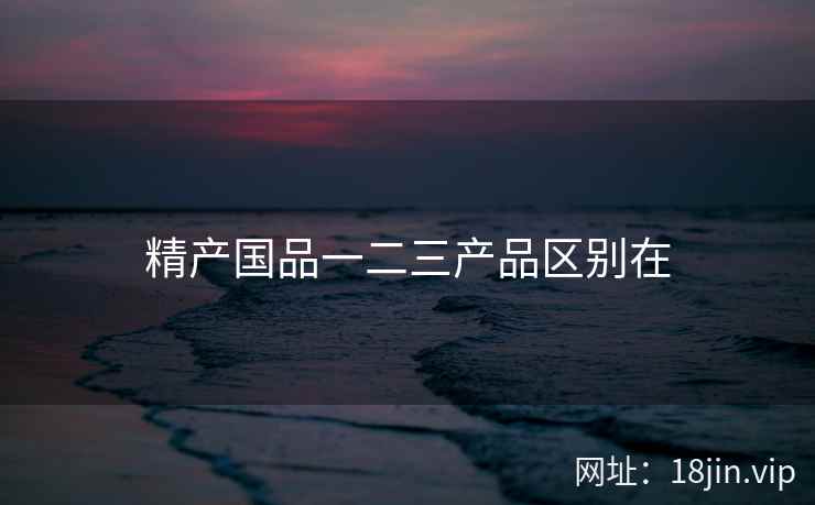 精产国品一二三产品区别在